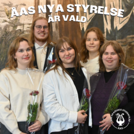 aas-nya-styrelse-vald