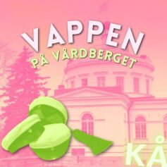 Banner vappen på vårdberget rosa-grön bild på observatoriet, tre gröna examensmössor i hög och kårens skylt som lyser i ljusgrönt