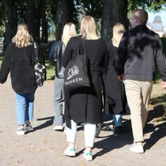 Hanken, fem människor går på en solig gata, ryggen mot kameran