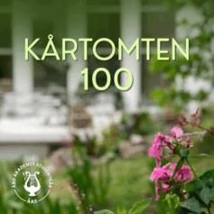 Ett foto på en pink blomma, i bakgrunden finns det gräsmatta och en vit byggnad med stora fönster. På bilden står det Kårtomten 100 och i nedre delen av bilden finns ÅAS vita logo.