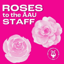 Roses to the ÅAU staff white text on pink background, twi big aquarell roses and ÅAS white logo