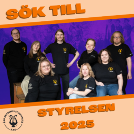 sok-till-styrelsen-2025-2