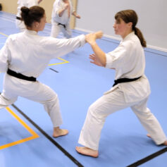 Två människor gör karaterörelser på en tatami båda iklädda i vita karatedräkter med svarta bälten