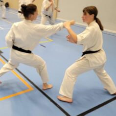 Två människor tränar karate. Fotograf: Anting Li